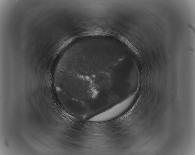 X0000097791213200804041228
