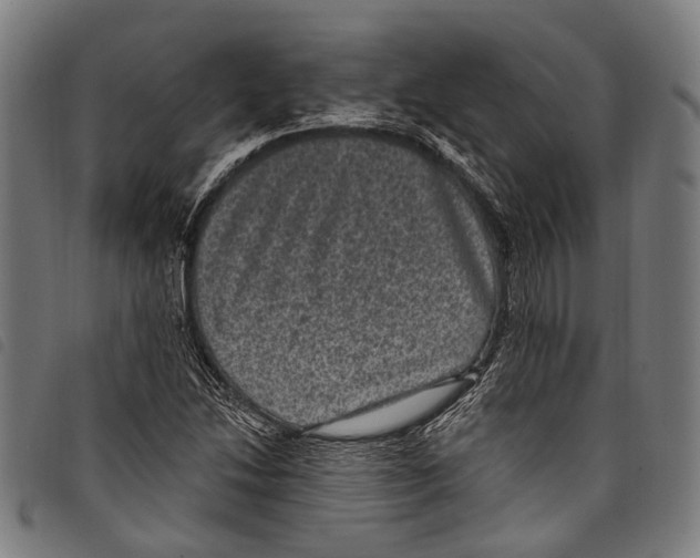 X0000097791214200804041228