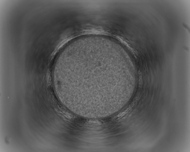 X0000097791215200804041228
