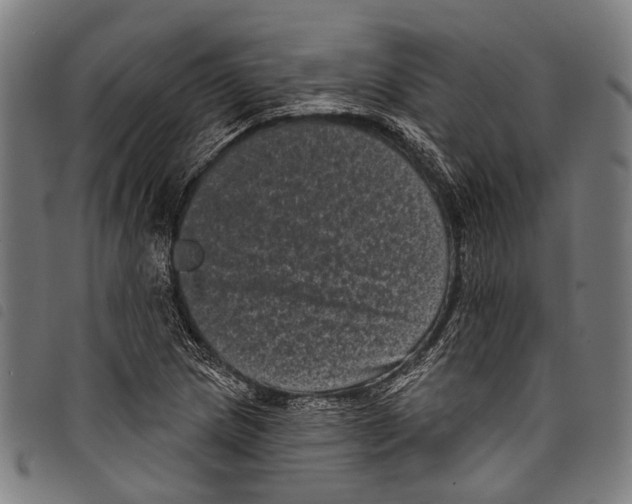 X0000097791217200804041228