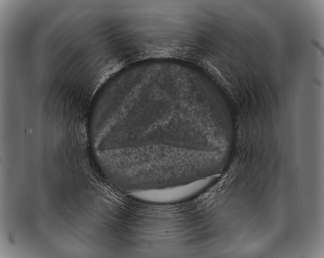 X0000097791218200804041228