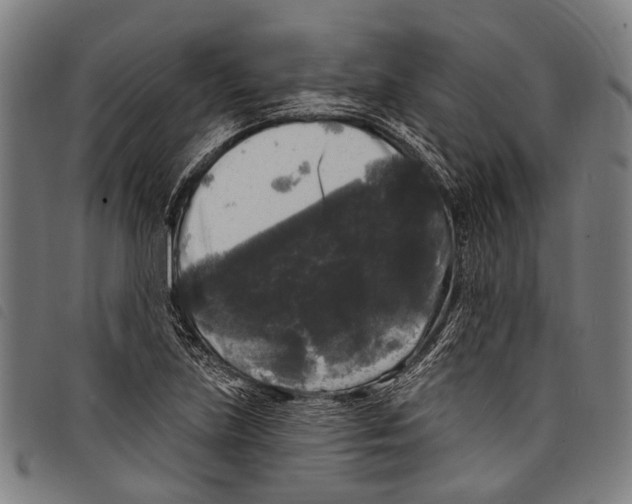 X0000097791219200804041228