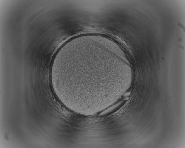 X0000097791220200804041228