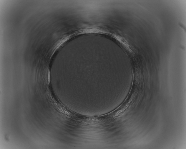 X0000097791221200804041228