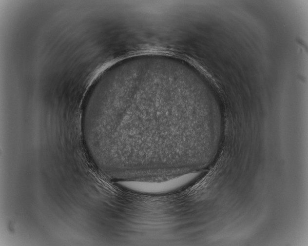 X0000097791222200804041228
