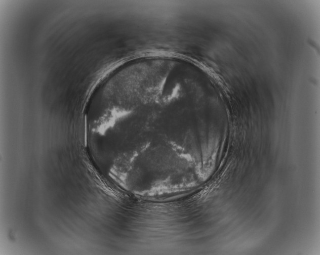 X0000097791223200804041228
