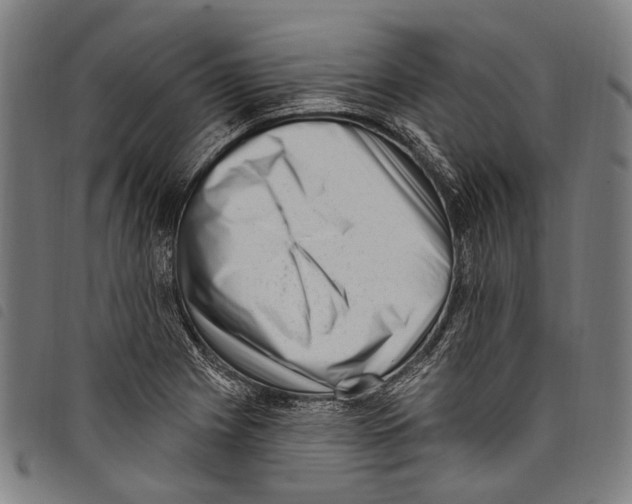 X0000097791225200804041228