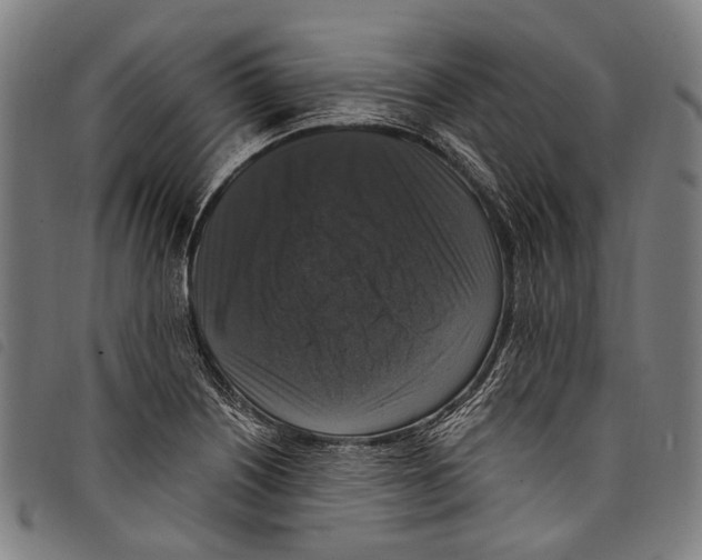 X0000097791226200804041228