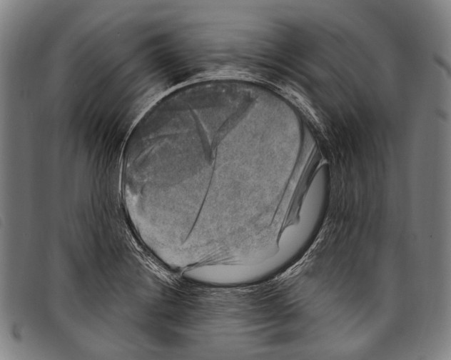 X0000097791228200804041228