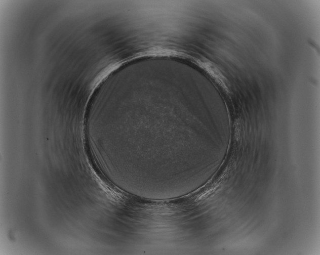 X0000097791229200804041228