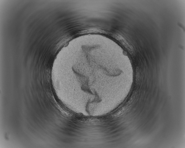 X0000097791233200804041228