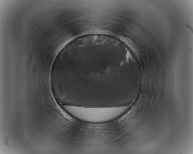 X0000097791237200804041228