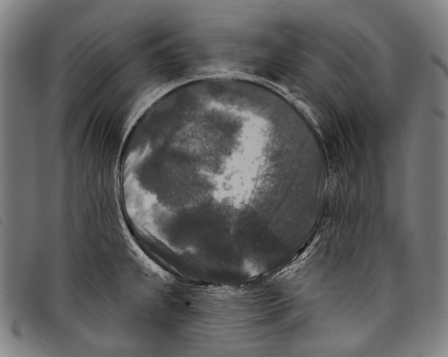X0000097791239200804041228