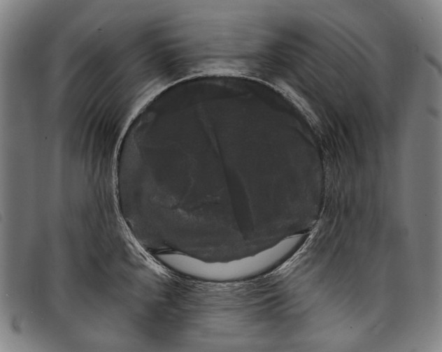 X0000097791240200804041228