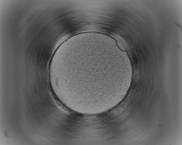 X0000097791242200804041228