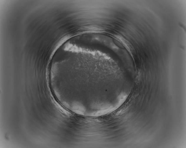 X0000097791243200804041228