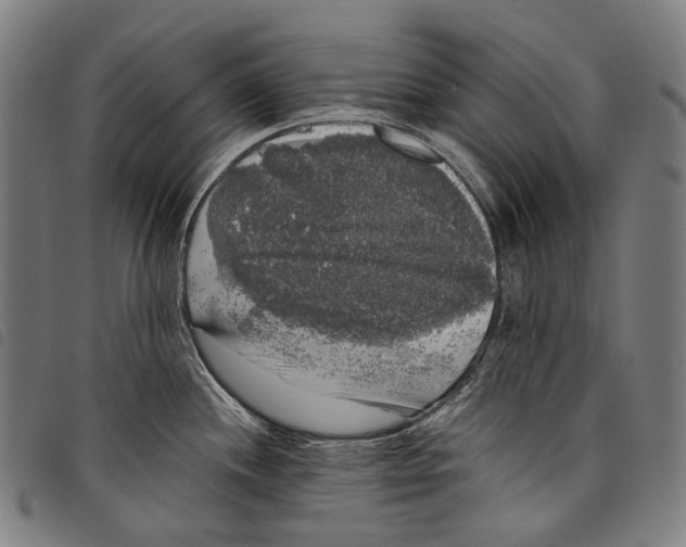 X0000097791244200804041228