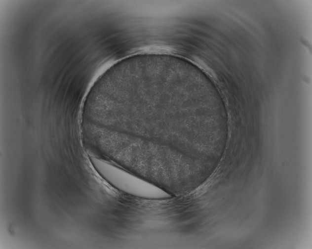 X0000097791248200804041229