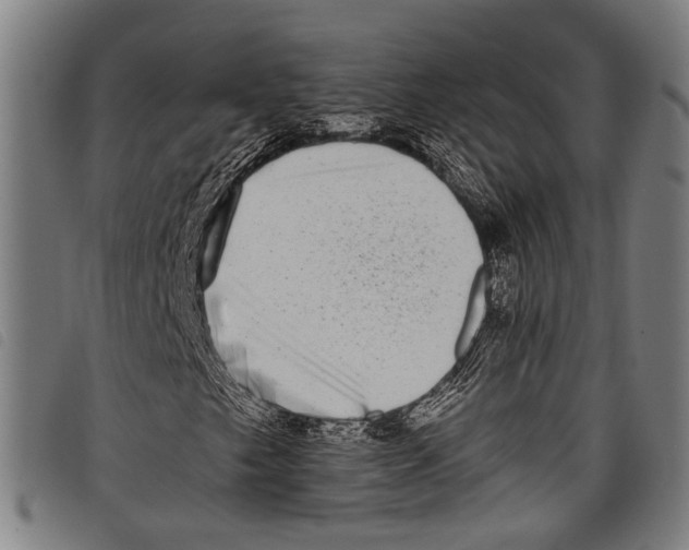 X0000097791249200804041228