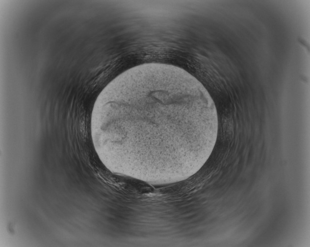 X0000097791250200804041228
