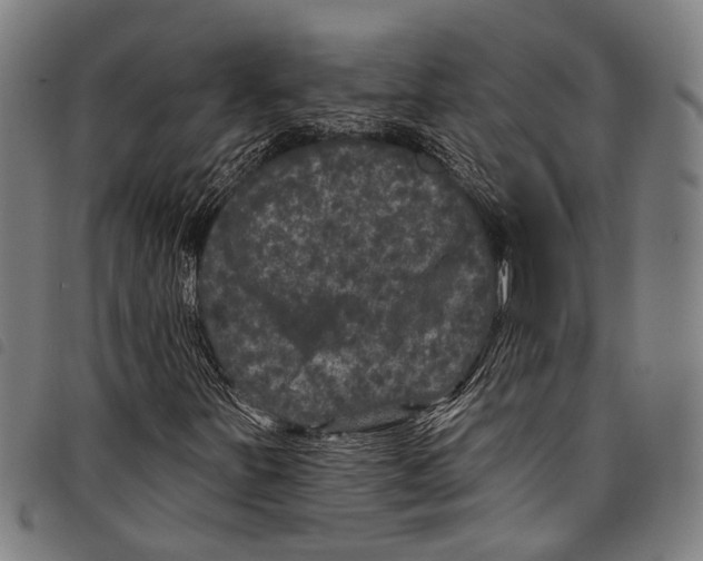 X0000097791251200804041228