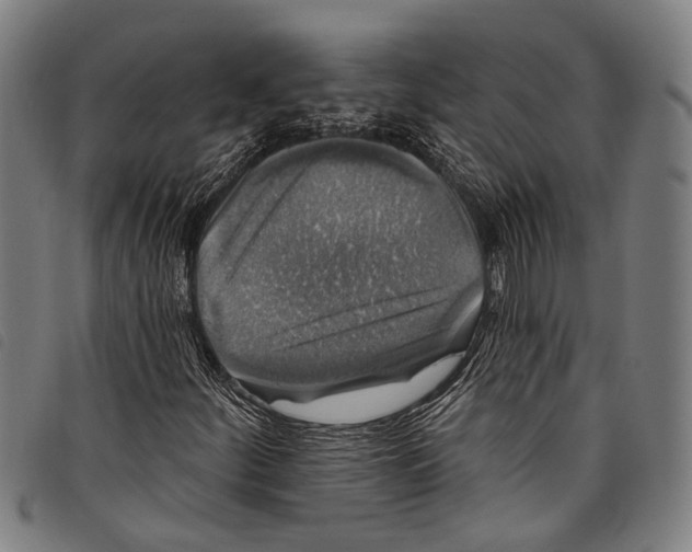 X0000097791252200804041228
