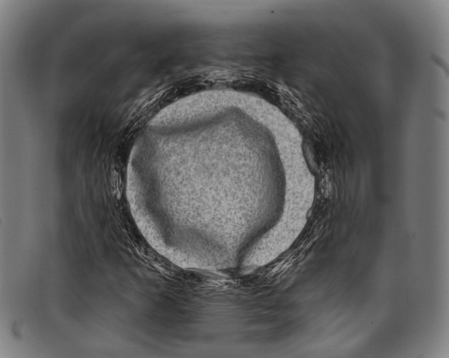 X0000097791253200804041228