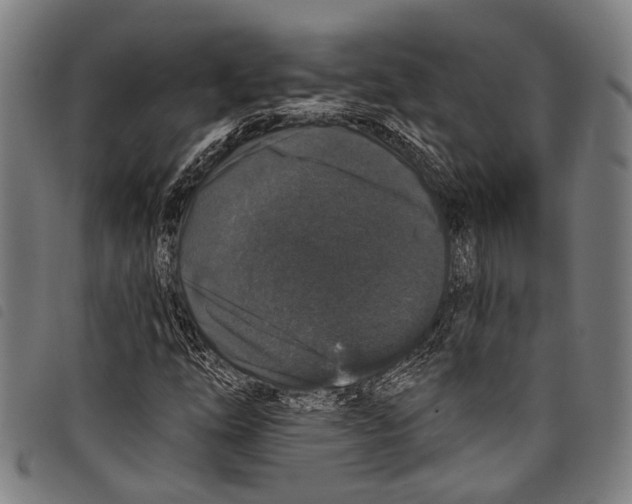 X0000097791254200804041228