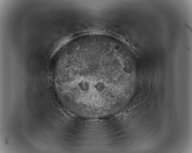 X0000097791255200804041228