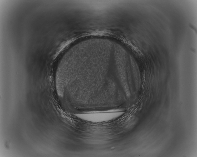 X0000097791256200804041228