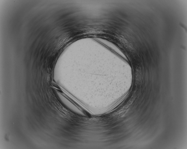 X0000097791257200804041228