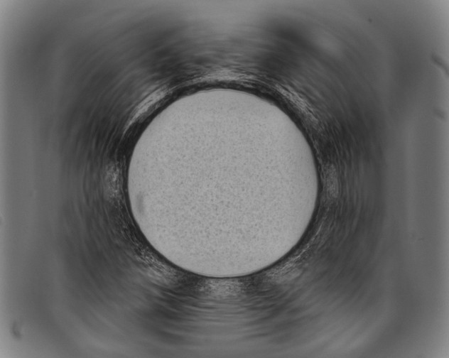 X0000097791258200804041228