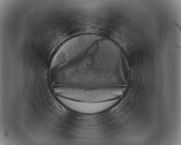 X0000097791260200804041228