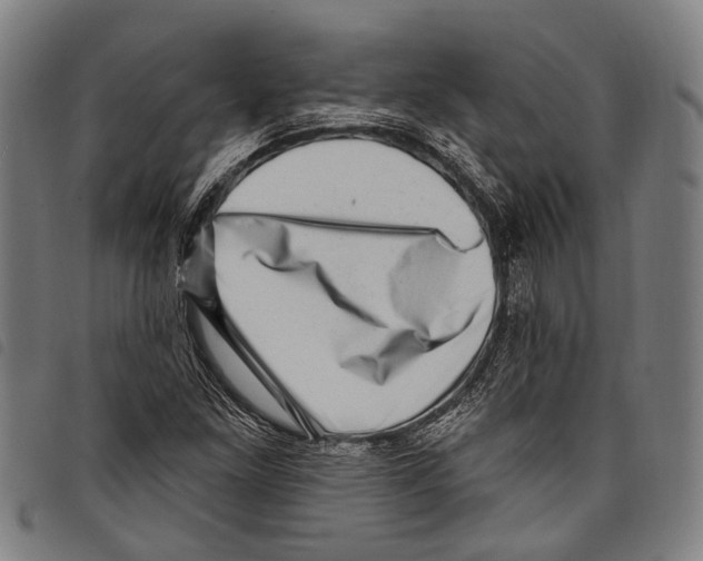 X0000097791261200804041228