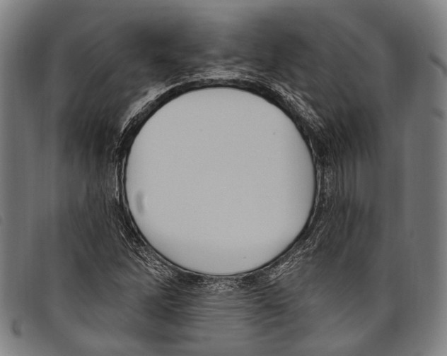 X0000097791262200804041228