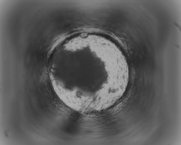 X0000097791263200804041228