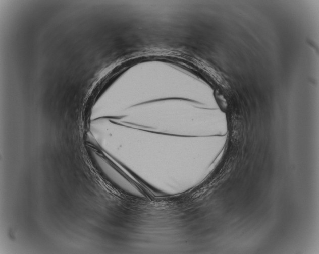 X0000097791264200804041228