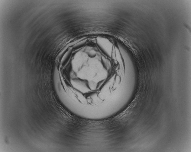 X0000097791265200804041228