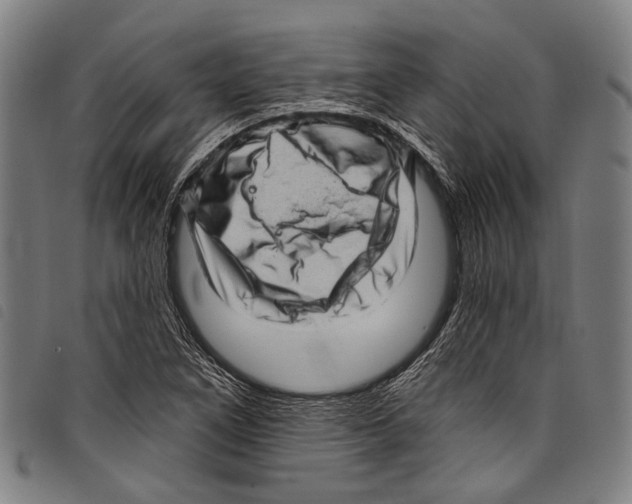 X0000097791266200804041228
