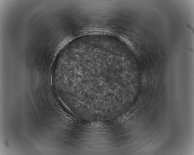 X0000097791267200804041228