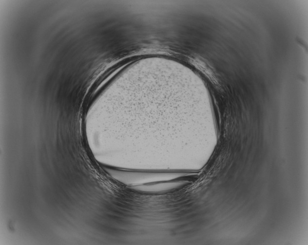 X0000097791268200804041228