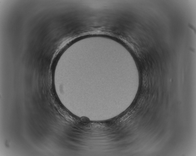 X0000097791270200804041228