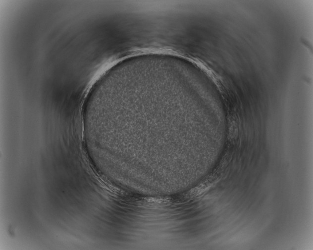 X0000097791271200804041228