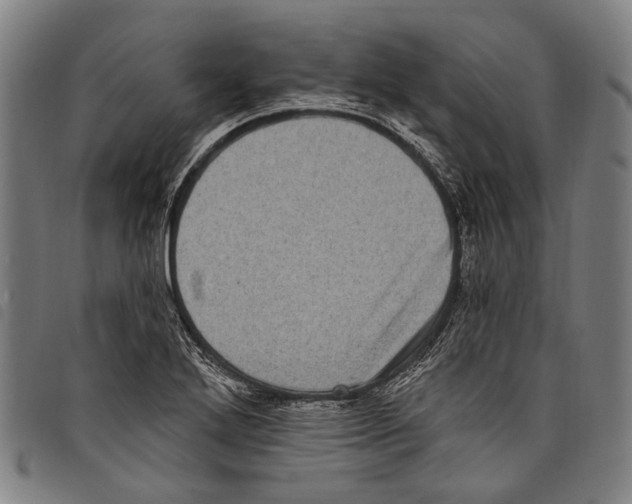 X0000097791272200804041228