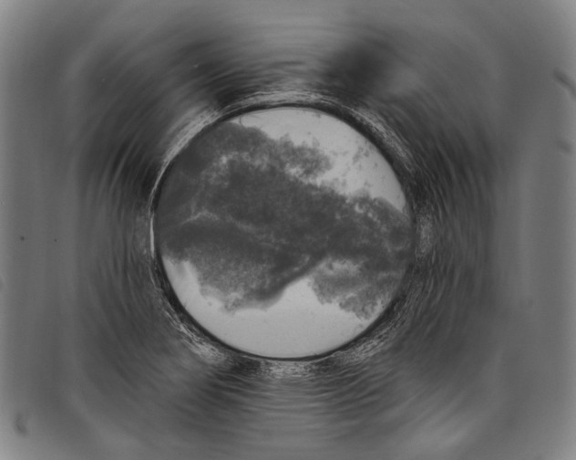 X0000097791274200804041228
