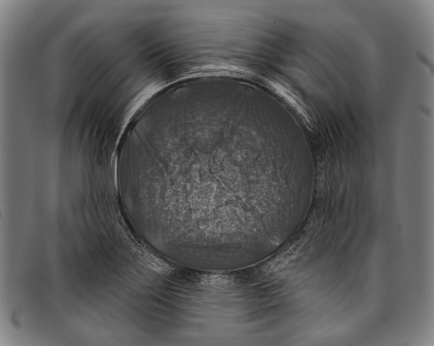 X0000097791275200804041228