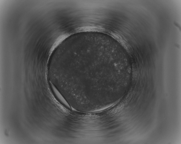 X0000097791277200804041227
