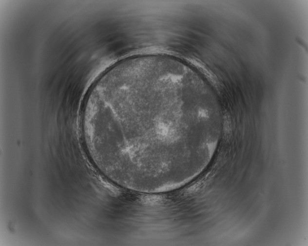 X0000097791278200804041227
