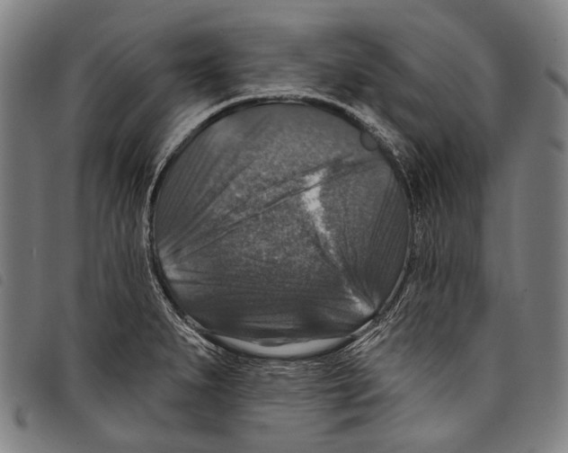 X0000097791279200804041227