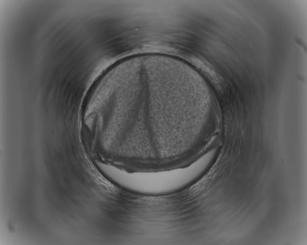 X0000097791280200804041227